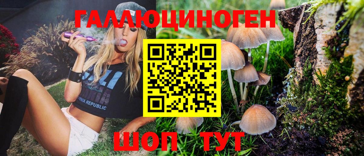 Псилоцибиновые грибы Psilocybine cubensis Шумерля